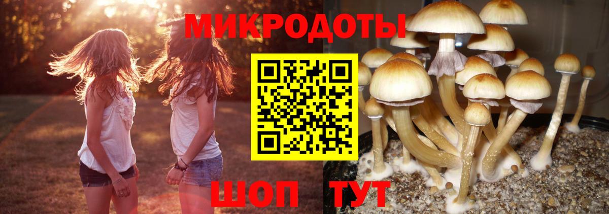 Балашов  Галлюциногенные грибы Cubensis  Псилоцибиновые грибы прущие грибы  продажа наркотиков  Вход с VPN 
